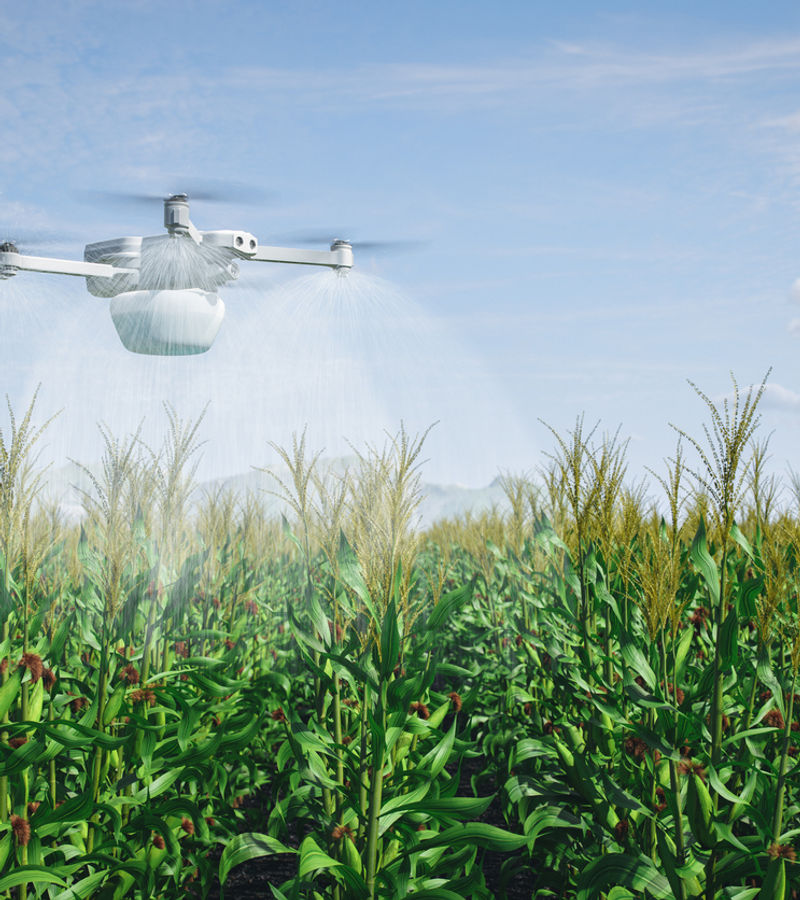 Earlier, confident decisions